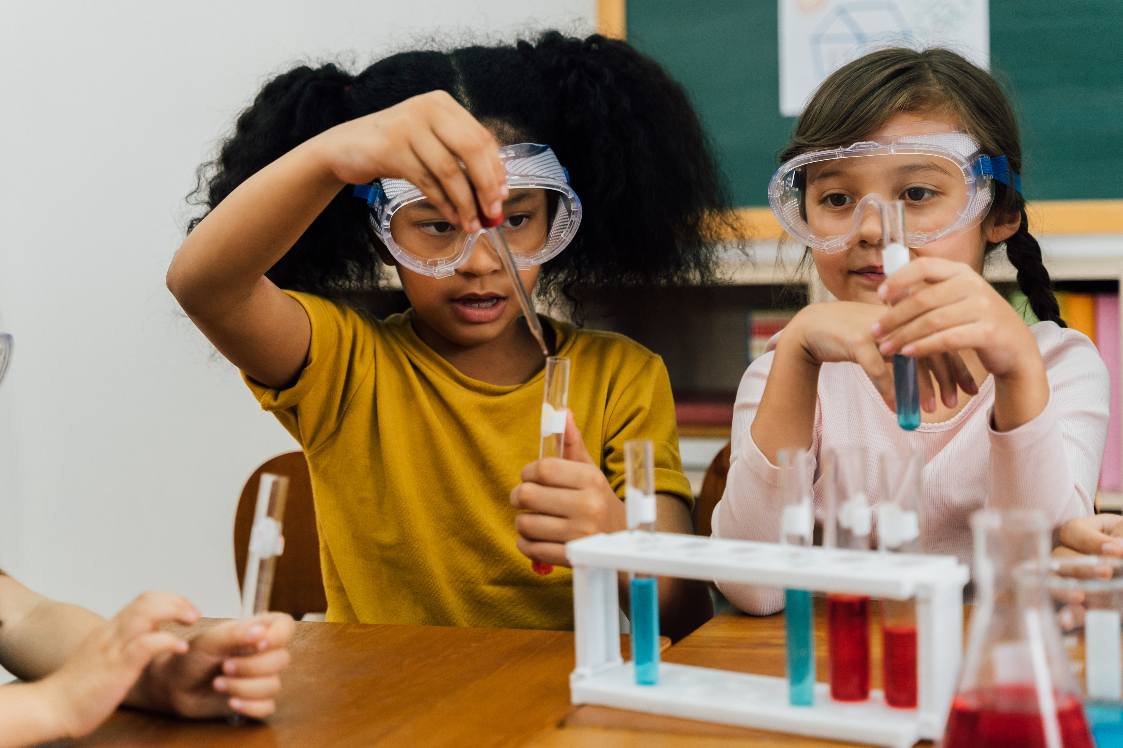 Stem Meaning