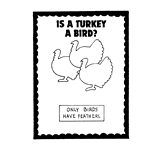 Turkey Bulletin Board Example