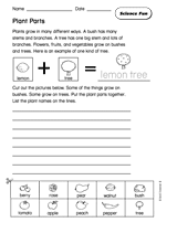 Science Fun: Plant Parts