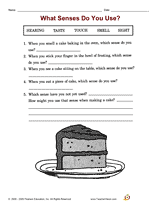 What Senses Do You Use?