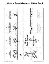 How a Seed Grows -- Little Book