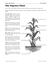 The Popcorn Plant